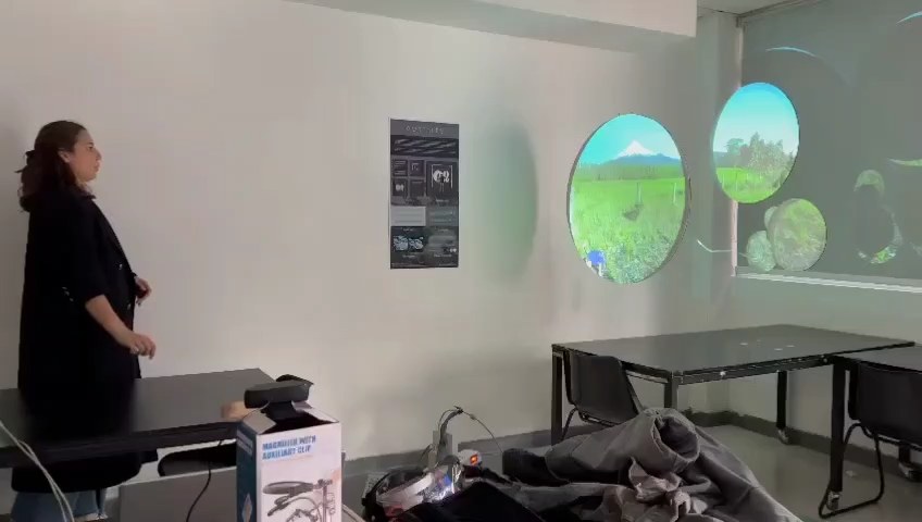 The same wall after the gesture, with the circles showing landscapes